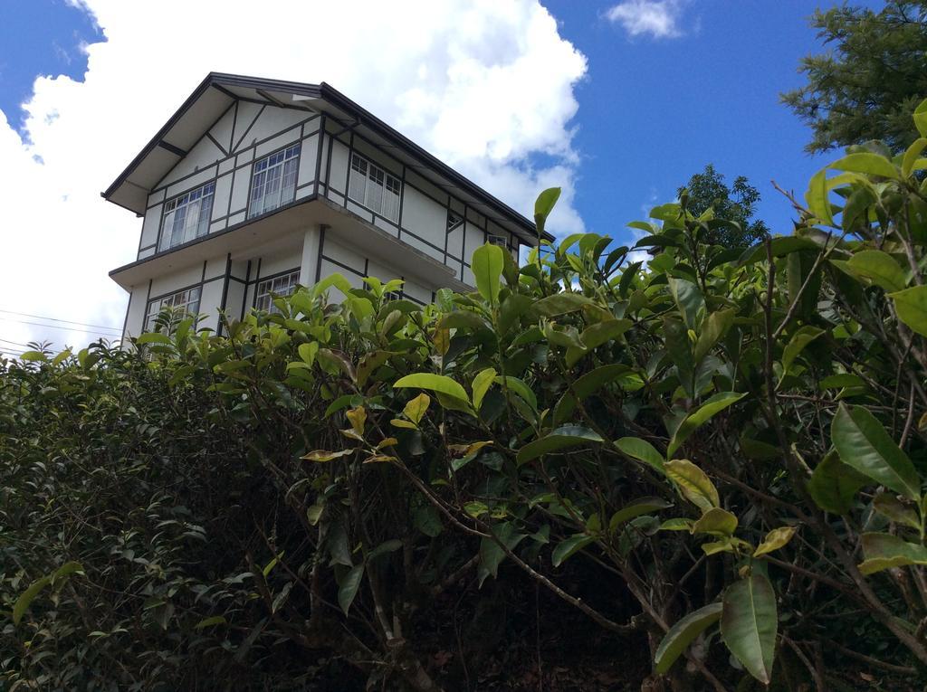 Bed and Breakfast Tealeaf Nuwara Eliya Exterior foto