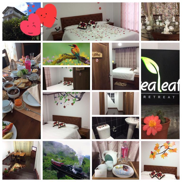 Bed and Breakfast Tealeaf Nuwara Eliya Exterior foto