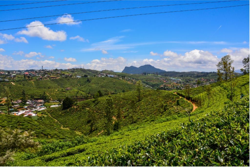 Bed and Breakfast Tealeaf Nuwara Eliya Exterior foto