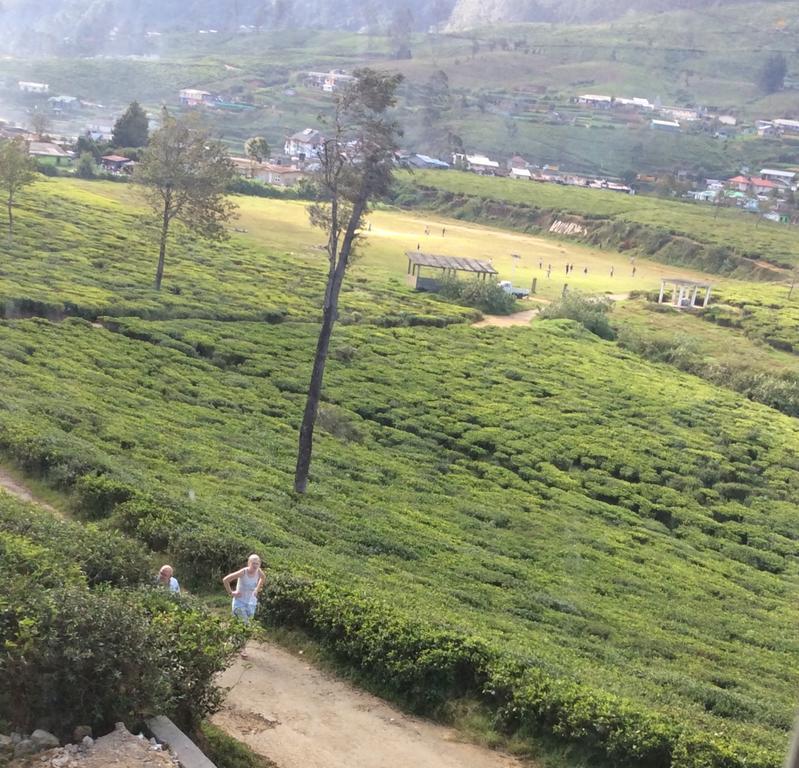 Bed and Breakfast Tealeaf Nuwara Eliya Exterior foto