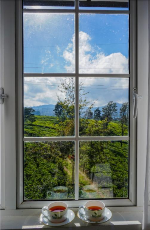 Bed and Breakfast Tealeaf Nuwara Eliya Exterior foto